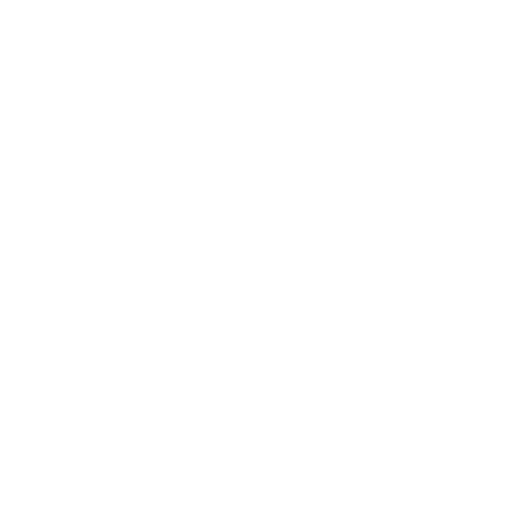 Crazy Line Dancer Odelzhausen Logo